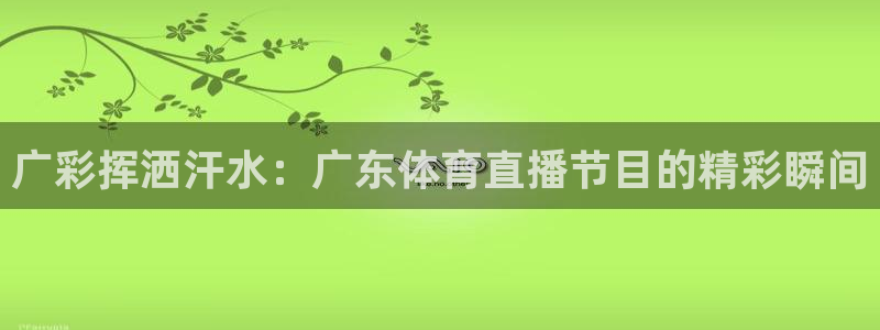 小九直播免费观看：广彩挥洒汗水：广东体育直播节目的精彩瞬间