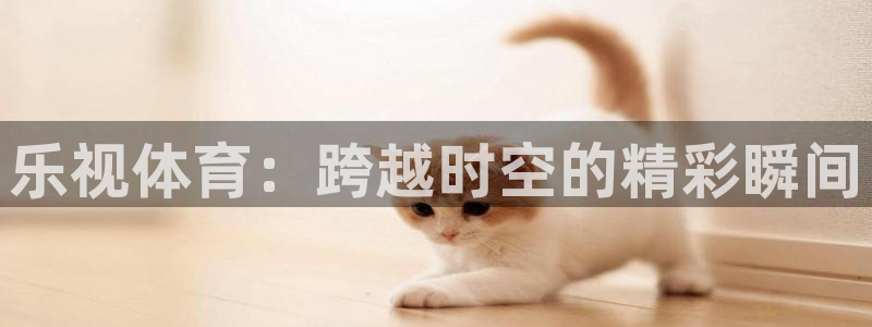 小九视频：乐视体育：跨越时空的精彩瞬间