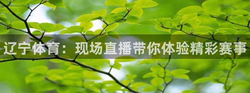 小九足球直播在线观看免费：辽宁体育：现场直播带你体验精彩赛事