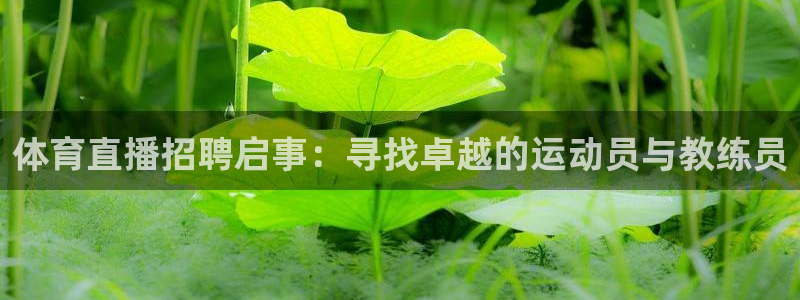 小九篮球直播在线观看：体育直播招聘启事：寻找卓越的运动员与教练员
