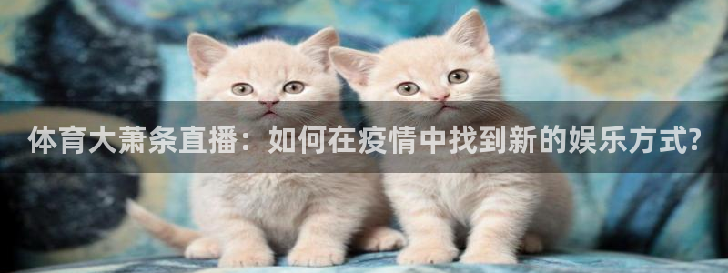 足球免费直播高清直播小九直播：体育大萧条直播：如何在疫情中找到新的娱乐方式?