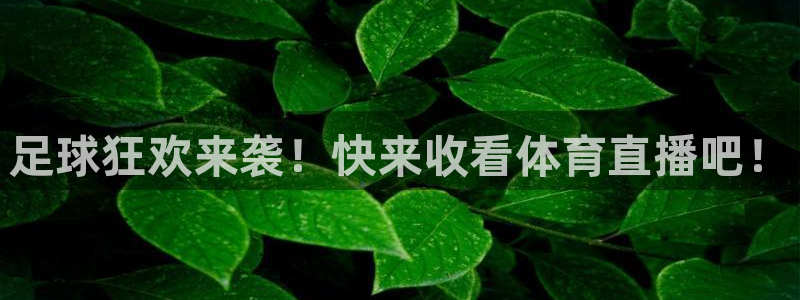 nba赛程直播在线观看视频小九：足球狂欢来袭！快来收看体育直播吧！