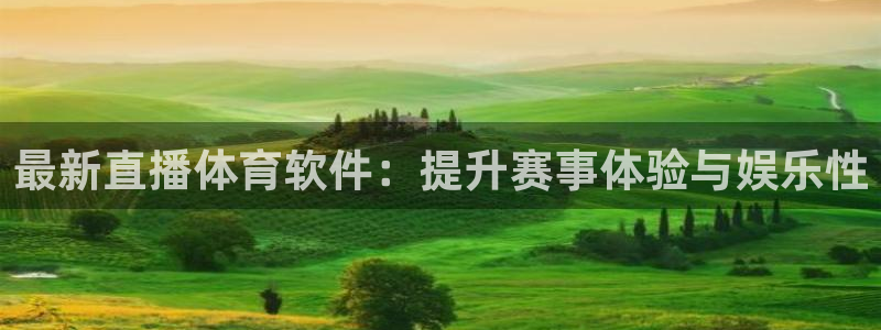 小九直播nba：最新直播体育软件：提升赛事体验与娱乐性