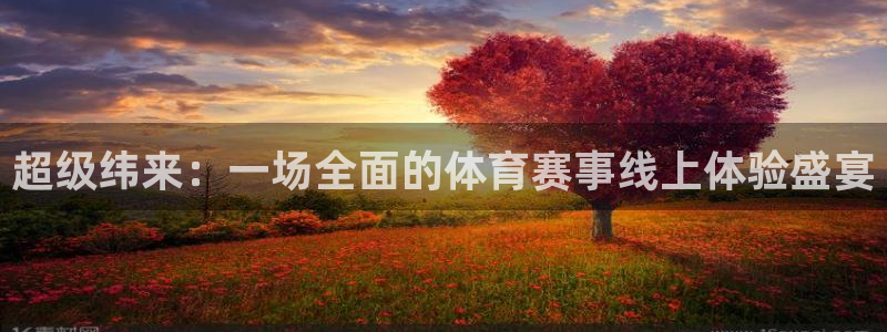 nba直播小九直播：超级纬来：一场全面的体育赛事线上体验盛宴