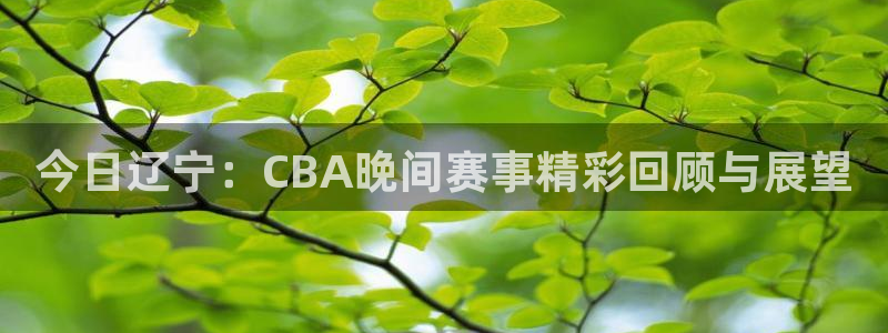 nba免费直播在线直播小九：今日辽宁：CBA晚间赛事精彩回顾与展望