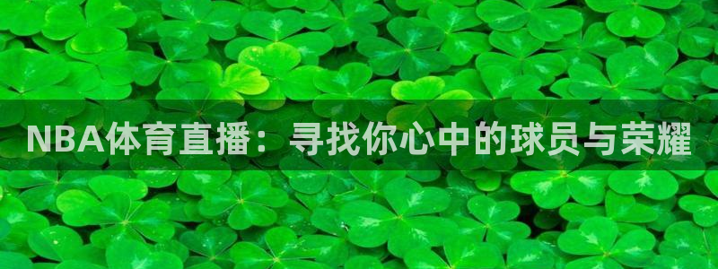 小九体育直播：NBA体育直播：寻找你心中的球员与荣耀
