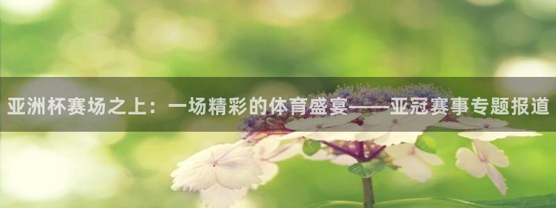 小九免费直播在线观看直播足球：亚洲杯赛场之上：一场精彩的体育盛宴——亚冠赛事专题报道